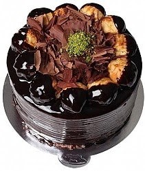 4 ile 6 kişilik Profiterollü Yaş pasta Muğla pasta