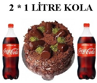 Muzlu Çikolatalı Pasta ve Çift Cola Avantaj Paketi Muğla pasta